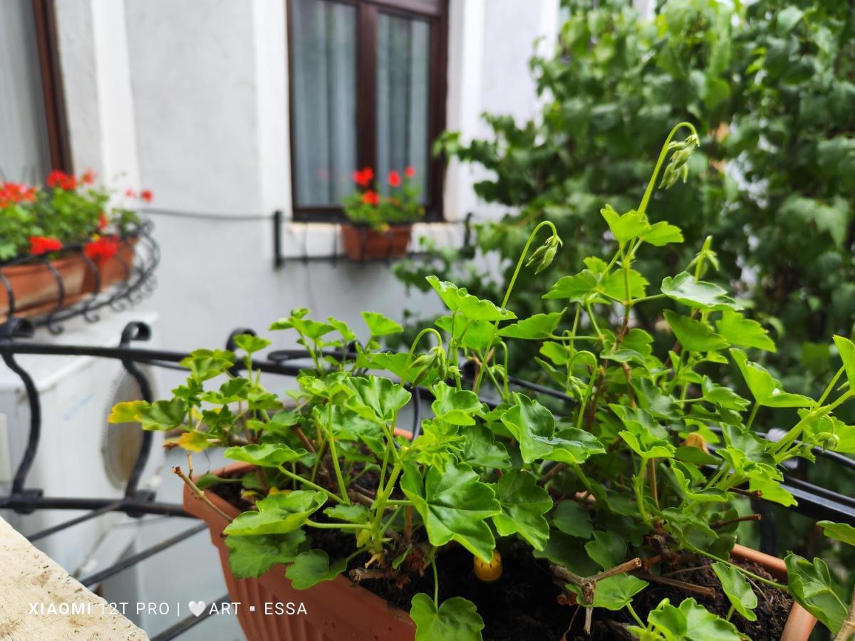 Apartament Buon Gusto,Near Main Square And Liar Bridge,Historical Side Of City Center Sibiu Exterior foto